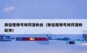 微信视频号如何涨粉丝（微信视频号如何涨粉丝快）