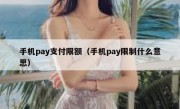 手机pay支付限额（手机pay限制什么意思）