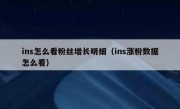 ins怎么看粉丝增长明细（ins涨粉数据怎么看）