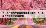 为什么注册不了谷歌账号是什么原因（为什么现在注册不了谷歌账号）