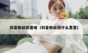抖音粉丝团是啥（抖音粉丝团什么意思）