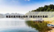 免签约支付接口软件（免签约支付系统）