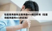 轻量服务器和云服务器ecs哪个好用（轻量级服务器和ecs的区别）