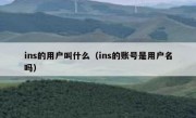 ins的用户叫什么（ins的账号是用户名吗）