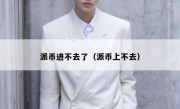 派币进不去了（派币上不去）