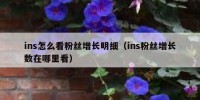 ins怎么看粉丝增长明细（ins粉丝增长数在哪里看）