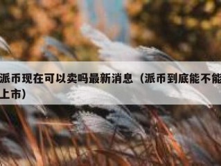 派币现在可以卖吗最新消息（派币到底能不能上市）