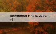 国内怎样才能登上ins（instagram）