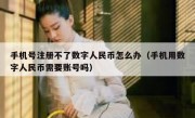 手机号注册不了数字人民币怎么办（手机用数字人民币需要账号吗）