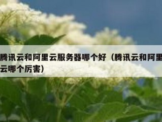 腾讯云和阿里云服务器哪个好（腾讯云和阿里云哪个厉害）