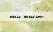 推特怎么火（推特怎么火起来的）
