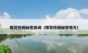 樱花校园秘密房间（樱花校园秘密地方）