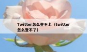 Twitter怎么登不上（twitter怎么登不了）