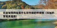 抖音加赞网站是什么软件做的啊视频（抖加的赞是真是假）