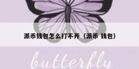 派币钱包怎么打不开（派币 钱包）