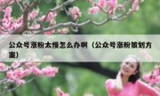 公众号涨粉太慢怎么办啊（公众号涨粉策划方案）