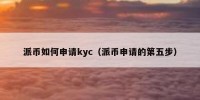 派币如何申请kyc（派币申请的第五步）