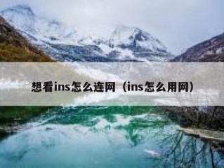 想看ins怎么连网（ins怎么用网）