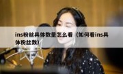 ins粉丝具体数量怎么看（如何看ins具体粉丝数）