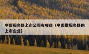 中国服务器上市公司有哪些（中国做服务器的上市企业）