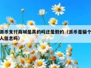 派币支付商城是真的吗还是假的（派币是骗个人信息吗）