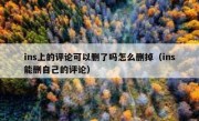 ins上的评论可以删了吗怎么删掉（ins能删自己的评论）