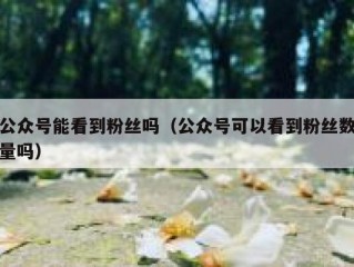 公众号能看到粉丝吗（公众号可以看到粉丝数量吗）
