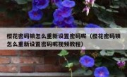 樱花密码锁怎么重新设置密码呢（樱花密码锁怎么重新设置密码呢视频教程）