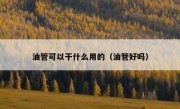 油管可以干什么用的（油管好吗）