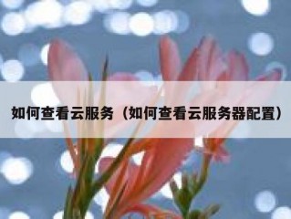如何查看云服务（如何查看云服务器配置）