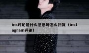ins评论是什么意思呀怎么回复（instagram评论）