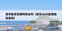 派币能买东西吗安全吗（派币2026能落地买卖吗）