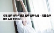 樱花指纹锁如何重置密码视频教程（樱花指纹锁怎么重置密码）
