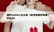国外twitter怎么用（如何用推特等国外软件）