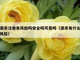 派币注册有风险吗安全吗可靠吗（派币有什么风险）
