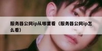 服务器公网ip从哪里看（服务器公网ip怎么看）