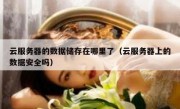 云服务器的数据储存在哪里了（云服务器上的数据安全吗）