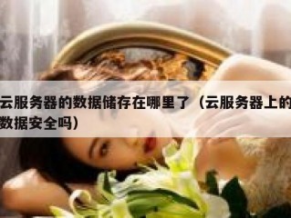 云服务器的数据储存在哪里了（云服务器上的数据安全吗）