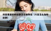 抖音里面的粉丝群怎么加微信（斗音怎么加粉丝群）