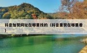 抖音加赞网址在哪里找的（抖音里赞在哪里看）