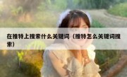 在推特上搜索什么关键词（推特怎么关键词搜索）
