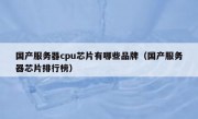 国产服务器cpu芯片有哪些品牌（国产服务器芯片排行榜）