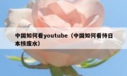 中国如何看youtube（中国如何看待日本核废水）