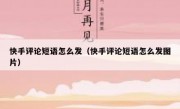 快手评论短语怎么发（快手评论短语怎么发图片）