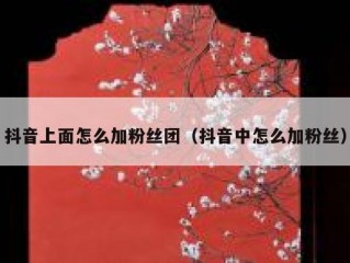 抖音上面怎么加粉丝团（抖音中怎么加粉丝）