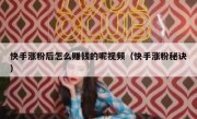 快手涨粉后怎么赚钱的呢视频（快手涨粉秘诀）