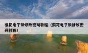 樱花电子锁修改密码教程（樱花电子锁修改密码教程）