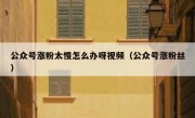 公众号涨粉太慢怎么办呀视频（公众号涨粉丝）