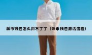 派币钱包怎么用不了了（派币钱包激活流程）