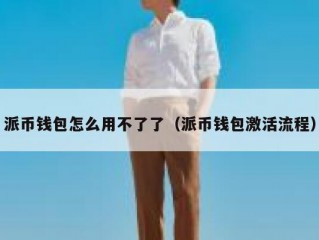 派币钱包怎么用不了了（派币钱包激活流程）